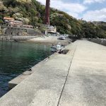 福浦港釣り