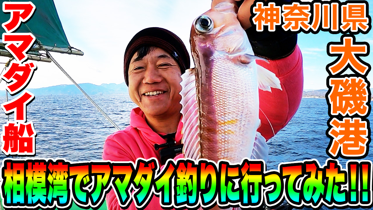 相模湾でアマダイ釣りに行ってみた！！ 神奈川県 大磯港