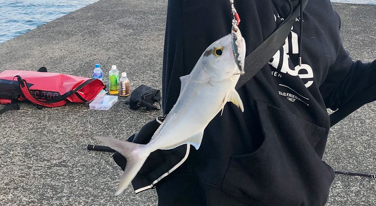 八丈島 釣果情報 まとめ いろはにぽぺとアングラー部 釣り動画 釣りブログ